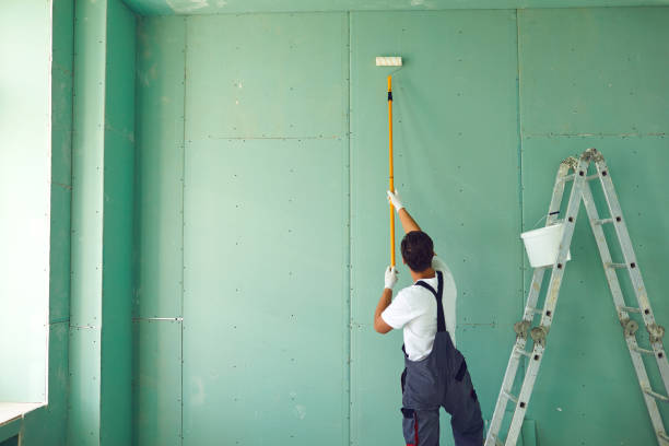 Best Black Mold Removal  in Clifton, CO