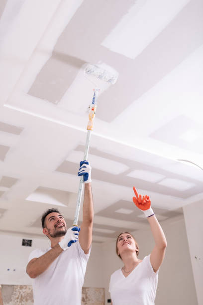 Best Mold Odor Removal Services  in Clifton, CO