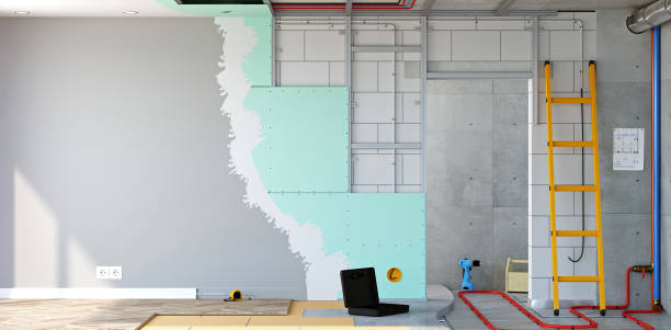 Best Attic Mold Removal  in Clifton, CO