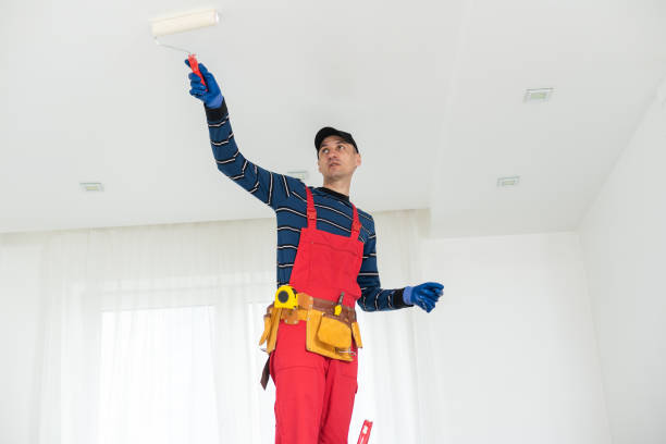 Clifton, CO Mold Removal Company