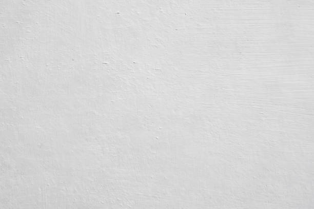 Best Mold Prevention Services  in Clifton, CO