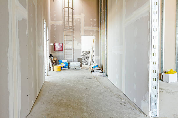 Mold Removal for HVAC Installations in Clifton, CO