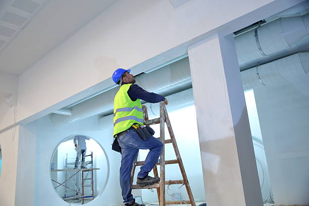 Best Mold Remediation for Healthcare Facilities  in Clifton, CO