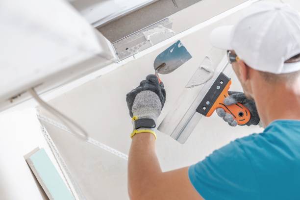 Best Dehumidification Services  in Clifton, CO